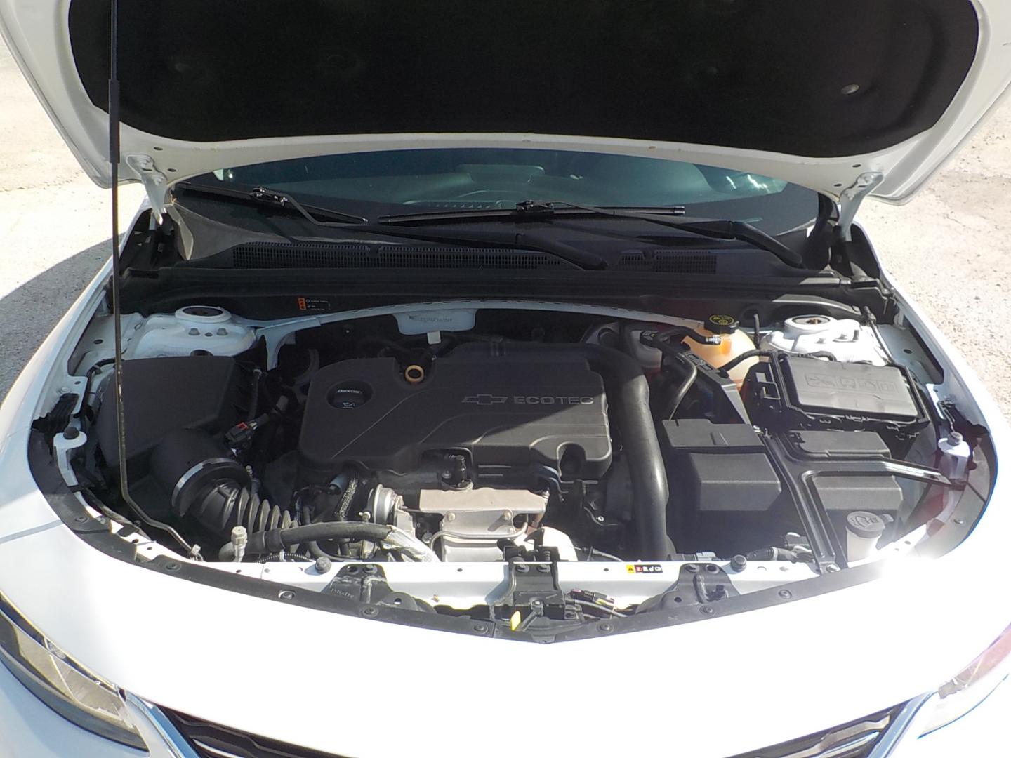 2018 White /Black Chevrolet Malibu LT (1G1ZD5STXJF) with an 1.5L L4 DOHC 16V engine, 6A transmission, located at 1617 W Church Street, Livingston, TX, 77351, (936) 327-3600, 30.710995, -94.951157 - I love these vehicles!! Family size and economical to boot!! - Photo#19