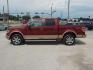 2014 Copper/Tan /Beige Ford F-150 Lariat SuperCrew 5.5-ft. Bed 4WD (1FTFW1EFXEK) with an 5.0L V8 engine, 6-Speed Automatic transmission, located at 1617 W Church Street, Livingston, TX, 77351, (936) 327-3600, 30.710995, -94.951157 - Good looking truck that runs and drives great!! - Photo#4