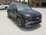 2025 Black /Lt. Gray Hyundai Tucson SEL (3KMJB3DE4SE) with an 2.5L L4 DOHC 16V engine, 8A transmission, located at 1617 W Church Street, Livingston, TX, 77351, (936) 327-3600, 30.710995, -94.951157 - ONE OWNER!! LOW LOW MILES!! - Photo#1
