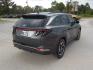 2024 Gray /Black Hyundai Tucson SEL (5NMJF3DE4RH) with an 2.5L L4 DOHC 16V engine, 8A transmission, located at 1617 W Church Street, Livingston, TX, 77351, (936) 327-3600, 30.710995, -94.951157 - ONE OWNER!! LOW MILES!! - Photo#6