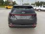 2024 Gray /Black Hyundai Tucson SEL (5NMJF3DE4RH) with an 2.5L L4 DOHC 16V engine, 8A transmission, located at 1617 W Church Street, Livingston, TX, 77351, (936) 327-3600, 30.710995, -94.951157 - ONE OWNER!! LOW MILES!! - Photo#7