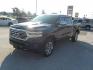 2021 Blue /Tan RAM 1500 Longhorn Crew Cab SWB 4WD (1C6SRFKT5MN) with an 5.7L V8 OHV 16V engine, 8A transmission, located at 1617 W Church Street, Livingston, TX, 77351, (936) 327-3600, 30.710995, -94.951157 - ONE OWNER!! LOW MILES!! IMMACULATE!! - Photo#3
